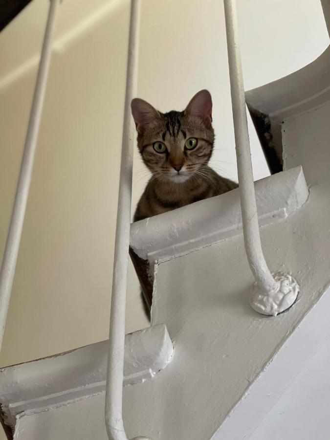 Séjour chez l'habitant Maison Du Bonheur